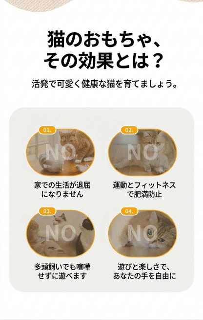 猫用かくれんぼおもちゃ