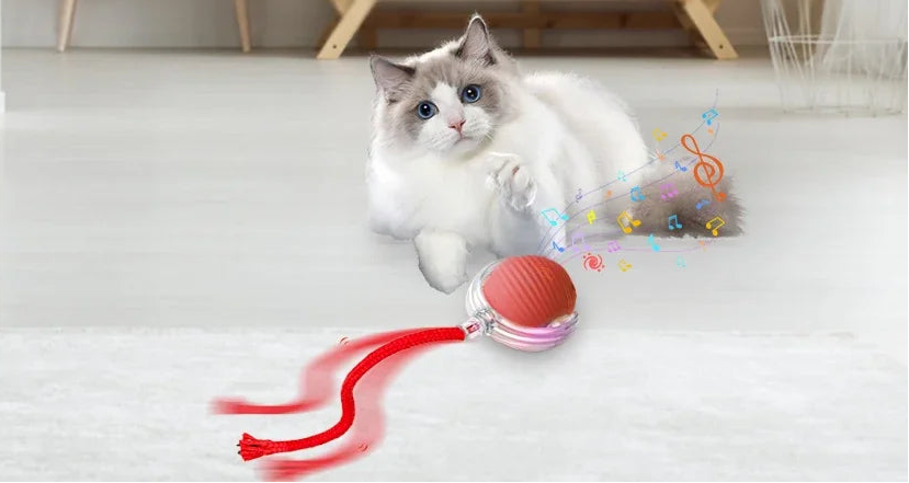 しっぽチェイスボール