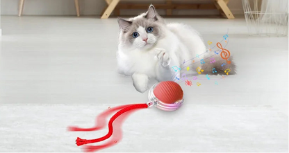 しっぽチェイスボール