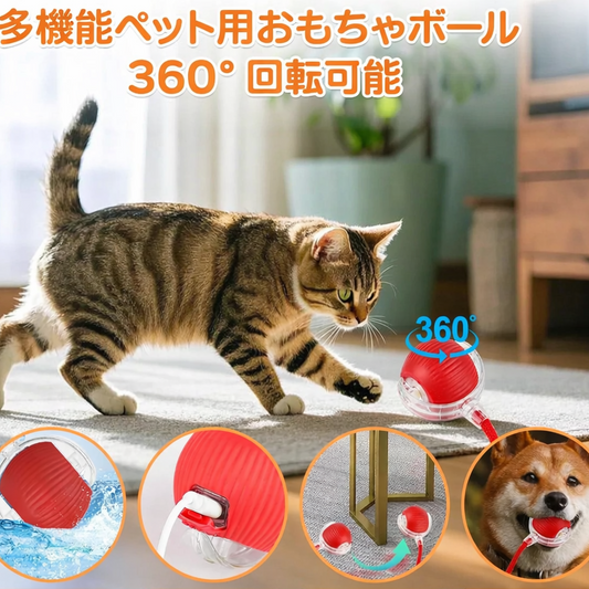 しっぽチェイスボール